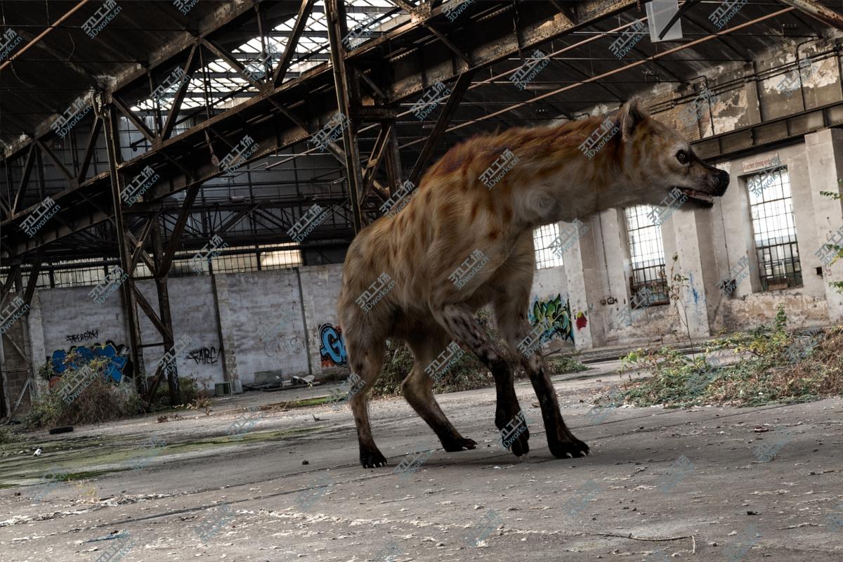 images/goods_img/202104022/Hyena (Fur) (Rigged) 3D model/5.jpg